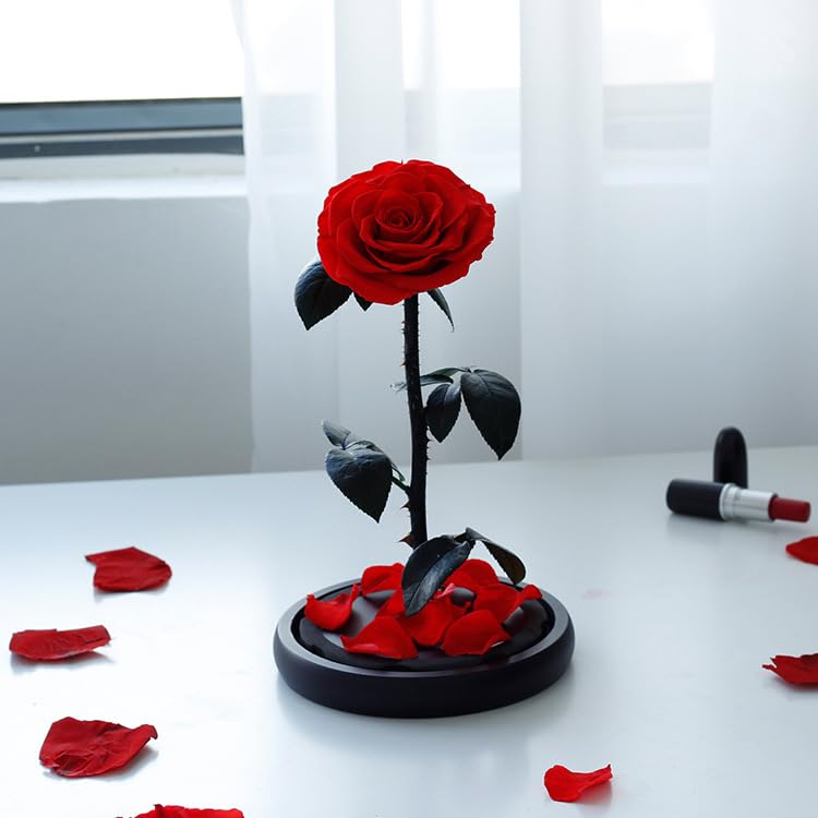 Voie Handmade Preserved Red Rose Forever 100% Real Roses with 3 Years Lifetime, Preserved Flowers for Valentine's Day, Mother's Day, Anniversaries, Birthdays, Graduations, girlfriend gift