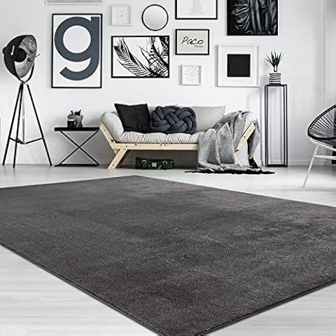 Paco Home Waschbarer Teppich Wohnzimmer Schlafzimmer Kurzflor rutschfest Flauschig Weich Moderne Einfarbige Muster, Grösse:120x170 cm, Farbe:Anthrazit Cover