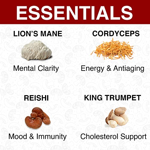rekemend Mushroom Supplement for Immune Support - Contains Lions Mane, Cordyceps & Reishi Mushroom Extracts - 60 Capsules - Image 5