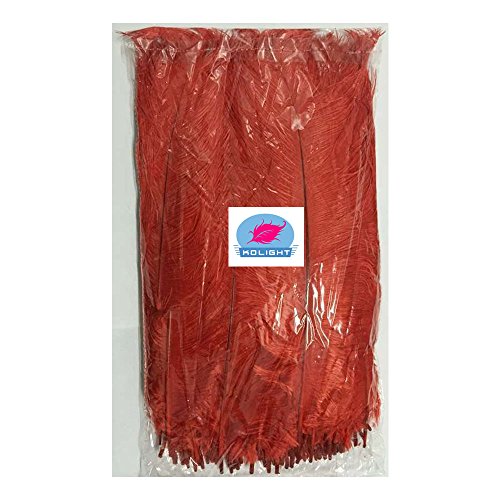 Kolight®20Pcs Ostrich Feather Red 12"-14" Natural Feathers Wedding, Party,Home #TOP4