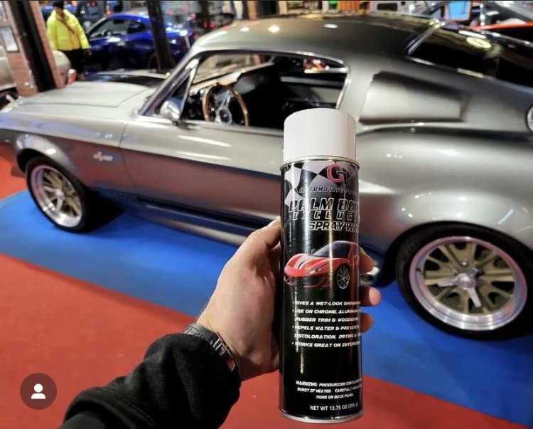 Palm Beach Exclusive Aerosol Spray Wax miniatura 2