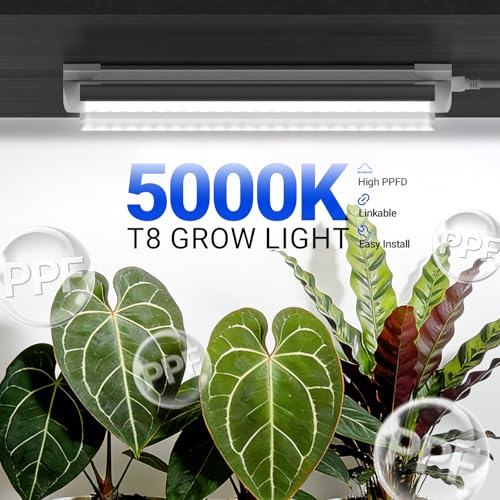 Image of Barrina T8 Grow Lights for Indoor Plants, 5000K White Full Spectrum Grow Light Strip, 60W(4 x 15W), 1FT Plant Light for Greenhouse Indoor Growing, V-Shape with Reflector, Linkable, 4 Packs