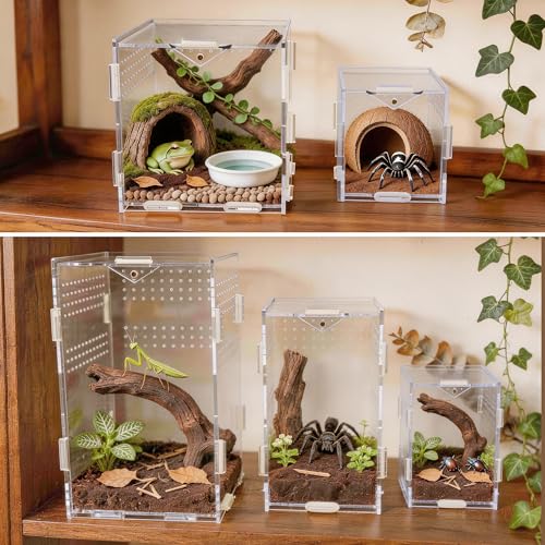 Image of Portable Travel Jumping Spider Enclosure, Acrylic Terrarium for Spider, Magnetic Lock Spider Habitat & Small Terrarium Ventilated for Tarantula,Mantis,Frog,Insect Enclosure cage(5.9x5.9x5.9 Inch)