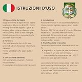 Zoom IMG-1 funghi mara 20 chiodi di Zoom IMG-1 funghi mara 20 chiodi di