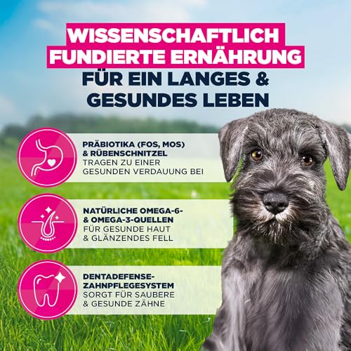 Eukanuba Welpenfutter mit frischem Huhn für kleine Rassen, Premium Trockenfutter für Junior Hunde, 7,5 kg