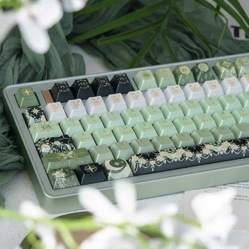 Touches PBT Dye Sub Cherry durables pour switch Cherry MX