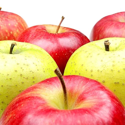 竹城青果 山形県産 りんご サンふじ&王林 詰合せ 2kg