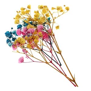 perfeclan 1 zak droogbloemen bladeren echte geperste gedroogde bloemen DIY scrapbooking Art Deco – Multi