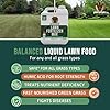 PetraTools Liquid Nitrogen Fertilizer (1G) Liquid 16-4-8 Lawn Fertilizer