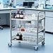 VEVOR Stainless Steel Rolling Cart, 3-Tier Metal Utility Cart with Lockable Wheels, Medical Serving Trolley Clinic Tray, Mobile Service Cart for Hospital, Lab, Restaurant, Kitchen, Salon
