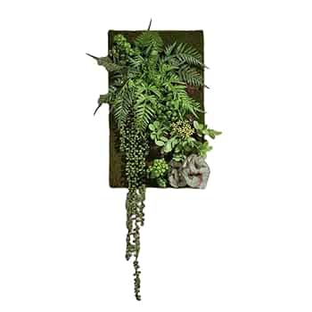 世界に一つの壁掛け植物アート 092286119_7.jpg