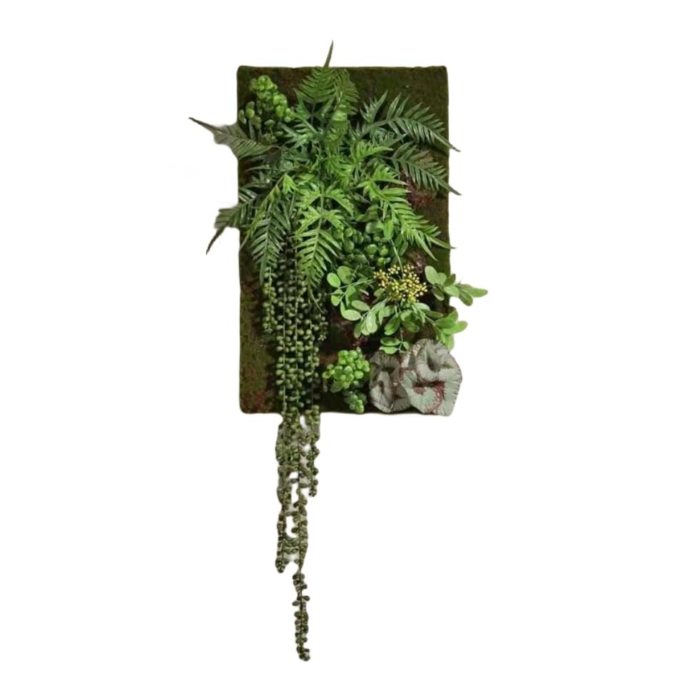 世界に一つの壁掛け植物アート 世界に一つの壁掛け植物アート 多肉植物の寄せ植えアート