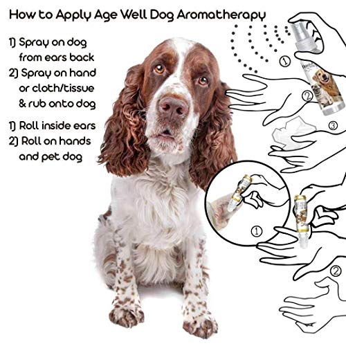 Image of The Blissful Dog Springer Spaniel Age Well Dog Aromatherapy Roll-On Bottle for Your Dog's Peaceful Ageing