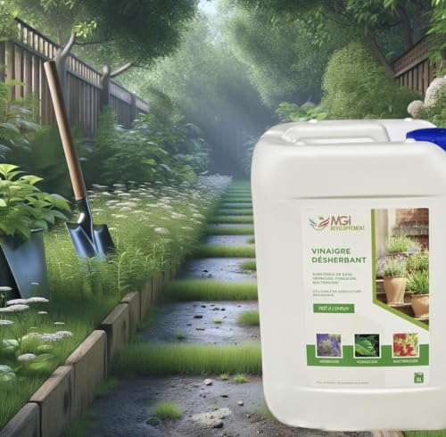 Vinaigre de Désherbage Écologique Haute Efficacité - Bidon 5L ou 10L - Solution Naturelle et Puissante pour Jardin et Allées - fabrication francaise (2 X 10L)