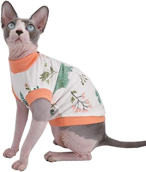 Sphynx cat collar Clearance