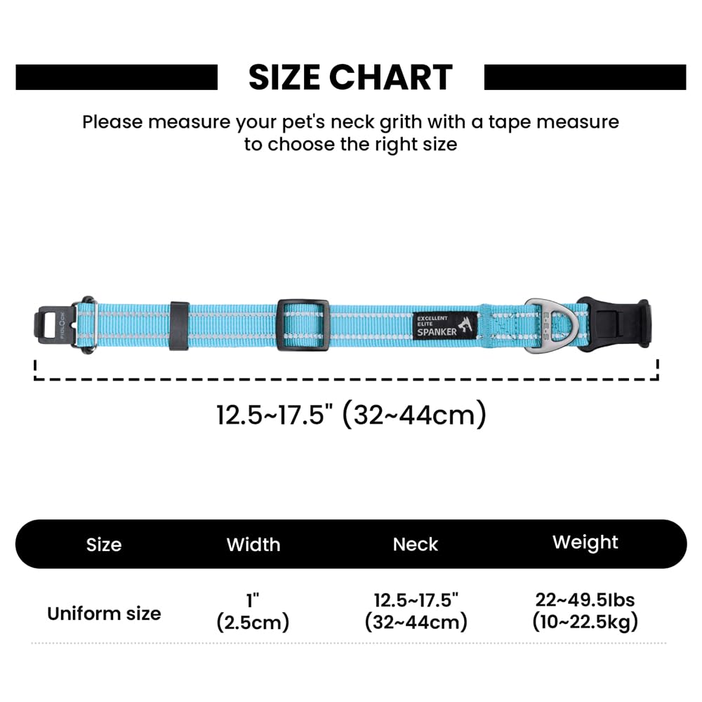 EXCELLENT ELITE SPANKER Veilige magneetsluiting, hondenhalsband, nylon, verstelbare hondenhalsband met reflecterende stiksels voor kleine en middelgrote honden, walking-training (LBLU