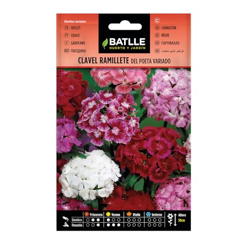 Batlle OEILLET du POETE