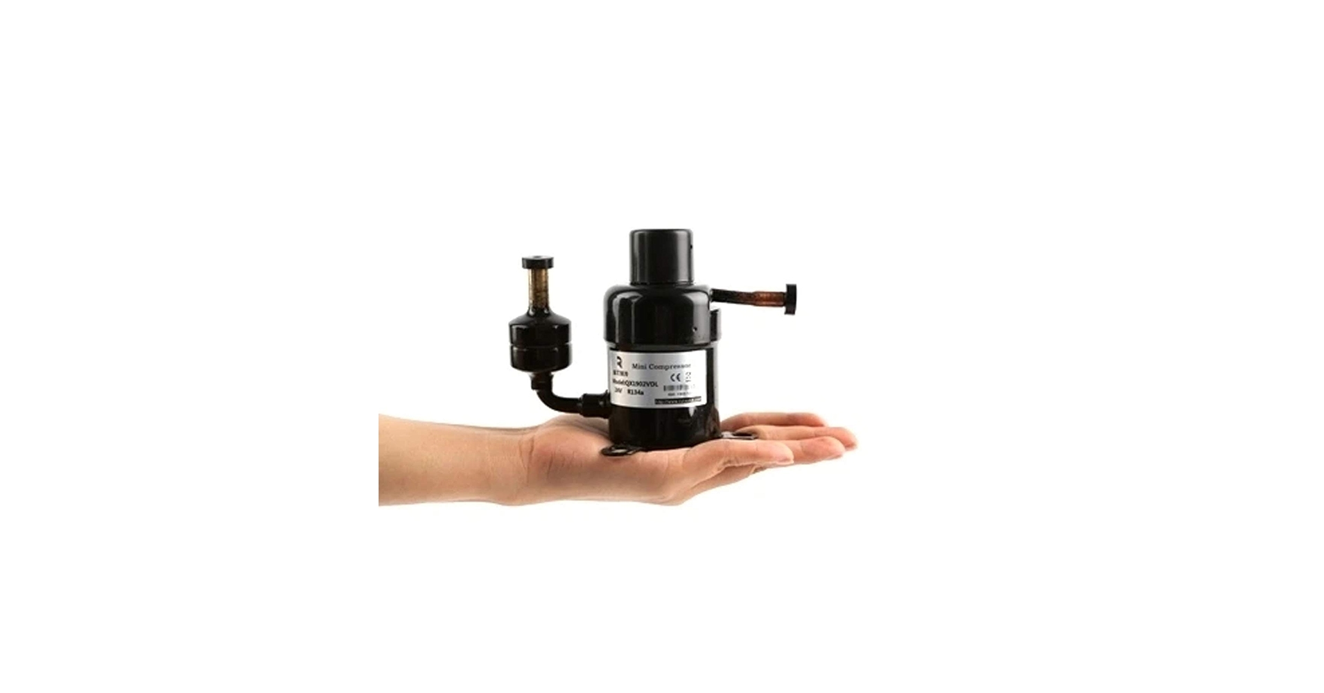 51pW4vEGurL.jpg_BO30,255,255,