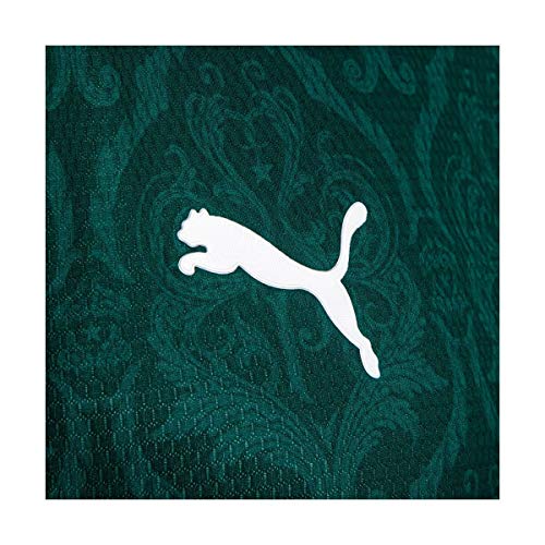 Camisa Palmeiras I 20/21, Torcedor, Puma, Masculino, G
