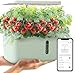 LetPot Hydroponics Grow System - Smart Indoor Garden Kit for Hydroponics Starter Beginners, Hydroponics Growing System Indoor Garden with Automatic Self-Watering and LED Grow Lights