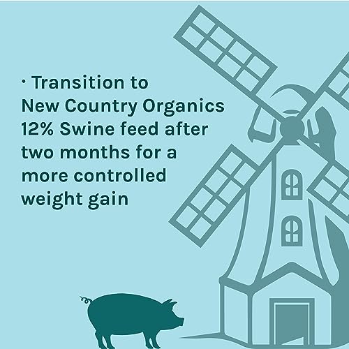 Alimento Proteico 16% para Cerdos en Crecimiento 40 lbs miniatura 4