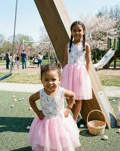 Image of Girls Sleeveless Tulle Toddler Tutu Dress for Girls