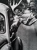 KUSTOM ART