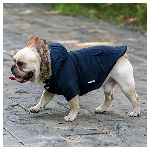 BCASE, Abrigo para Perro, con Capucha de Pelos