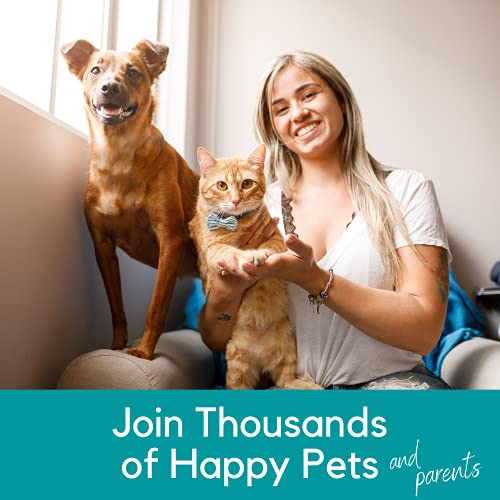 The 30 Best Cat Hip & Joint Care of 2024 [Verified] Cherry Picks