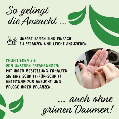 Prademir – Gemüsesamen Set “Indoor-Mix” aus 16 Sorten Premium Gemüse Samen – samenfestes Gemüse Saatgut für Balkon, Gewächshaus, Wohnung, Terrasse & Fensterbank – nahezu 100% Keimrate - Image 6