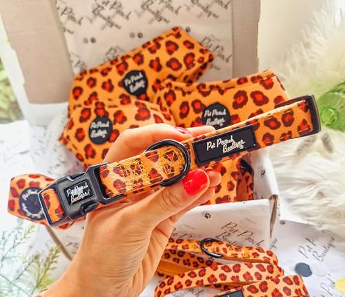 Spiced Honey Leopard Dog Collar XS, Orange, extra small