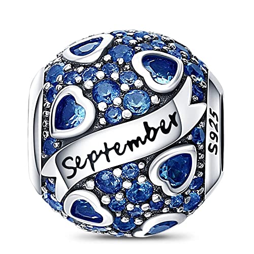 HappyStar 925 Sterling Silver Month Birthstone Charm for Bracelets Necklace，with 5A Cubic Zirconia Dangle Pendant Bead,Happy Birthday Valentine's Day