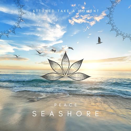 『Ocean sounds and celestial music, meditation/sleep music』のカバーアート
