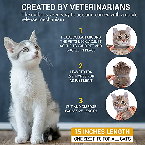 Collare Antipulci Gatti Collare Antipulci Pulci e