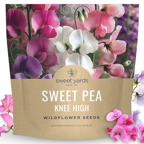 Sweet Pea Knee High - Large 1/2 Ounce Packet - 150 Flower Seeds for Planting - Lathyrus odoratus