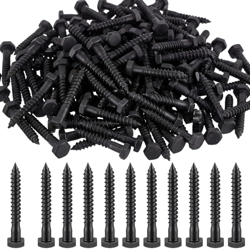 Zonon 100 Pcs 1/4" X 2" 304 Stainless Steel Lag Screw for Wood, Black