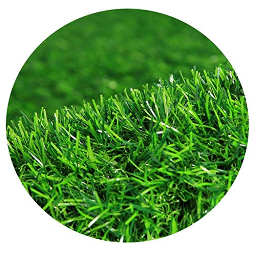WJ Césped Artificial Césped Cerca Jardín de la Infancia Cartelera Decoración Plástico Falso (Color : T 1cm, Size : 2 * 5m)