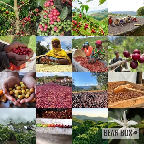 Peru - La Coipa - Café en Grano Tostado 10 Oz miniatura 6
