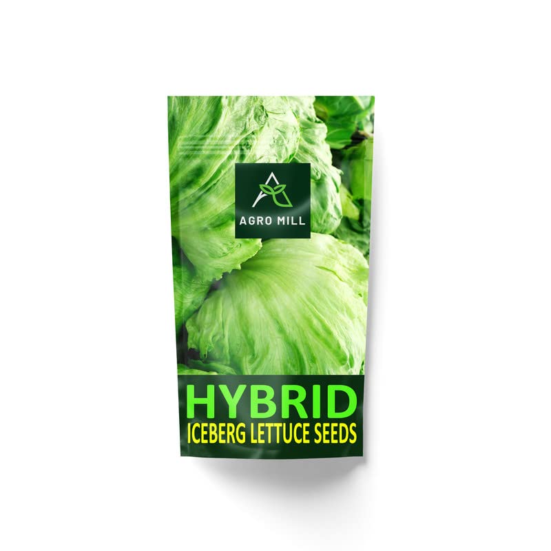 AGO MILL HYBRID F1 ICEBERG LETTUCE/SALAD PATTA SEEDS FOR HOME KITCHEN GARDEN (40 PER PACKET).43 (B0BTTGH6ZY) Amazon Price History, Amazon Price Tracker