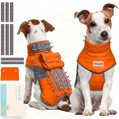Spiked Dog Vest for Small Dogs: Industrial-Strength Cut & Bite-Proof | Dog Armor Vest with Removable Spikes | Dogs Protection from Coyotes, Predators & Aggressive DogAttacks | for Safer Wild, DogPark
