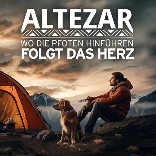 ALTEZAR Hundehalsband Leder - braunes Rindsleder Tribal Farbenrausch durchgehend Bestickt bunt - Handgemacht in Mexiko Lederhalsband Hund - Größe S - für kleine Hunde