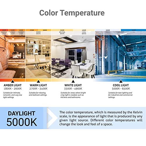 Sunlite 05358-SU Cfl G30 Globe Light Bulb, 20 Watts (75W Equivalent), 120 Volts, Medium (E26) Base, Compact Fluorescent thumb #3