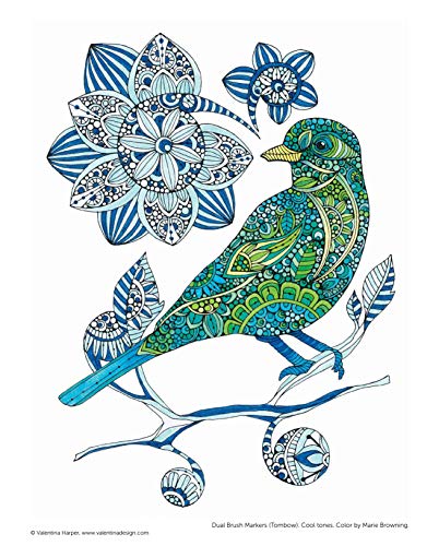 Creative Coloring Birds: Art Activity Pages to Relax and Enjoy! (Design Originals) 30 Designs with Owls, Songbirds, Peacocks, and More, on Extra-Thick Perforated Paper, plus Beginner-Friendly Tips - Image 8