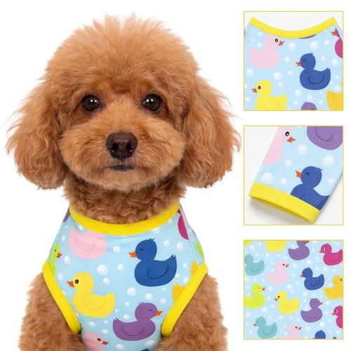 Camisa para perros azul talla XS miniatura 3