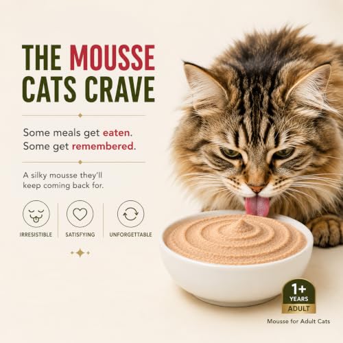 Image of Grain Zero Adult Cat Wet Mousse 80g Pack of 5, (400g) | Salmon Flavour | Rich in Protein | Hydrating & Easy to Digest | No Artificial Flavours | Packed with Essential Vitamins & Antioxidants
