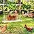 Jorewood Chicken Coop Swings, Outdoor Poultry Exercise Perch for Hens, Roosters