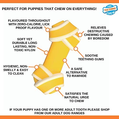 Nylabone Puppy Dog Teething Rawhide Alternative Knot Chew Toy, Beef Flavour, Extra Small, for Puppies Up to 7 kg, 1 Count (Pack of 1)