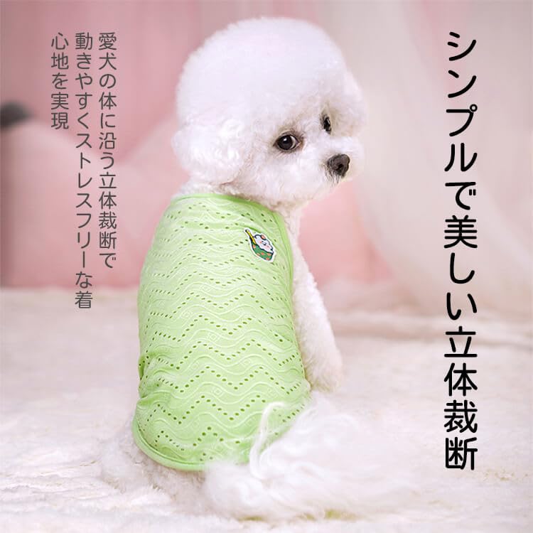 犬服 SS わんこの普段着 フルーツカシェモア グリーン フルーツ