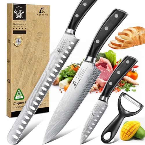 CoquusAid Essential 4-Piece Kitchen Knife Set,Sharp German Steel Knives Sets(Chef's