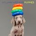 William Wegman Puppies 2015 Wall Calendar
